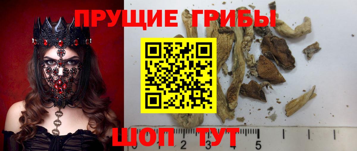 купить наркоту  Галлюциногенные грибы MAGIC MUSHROOMS  Галлюциногенные грибы Magic Shrooms  Вход с VPN  Белорецк 